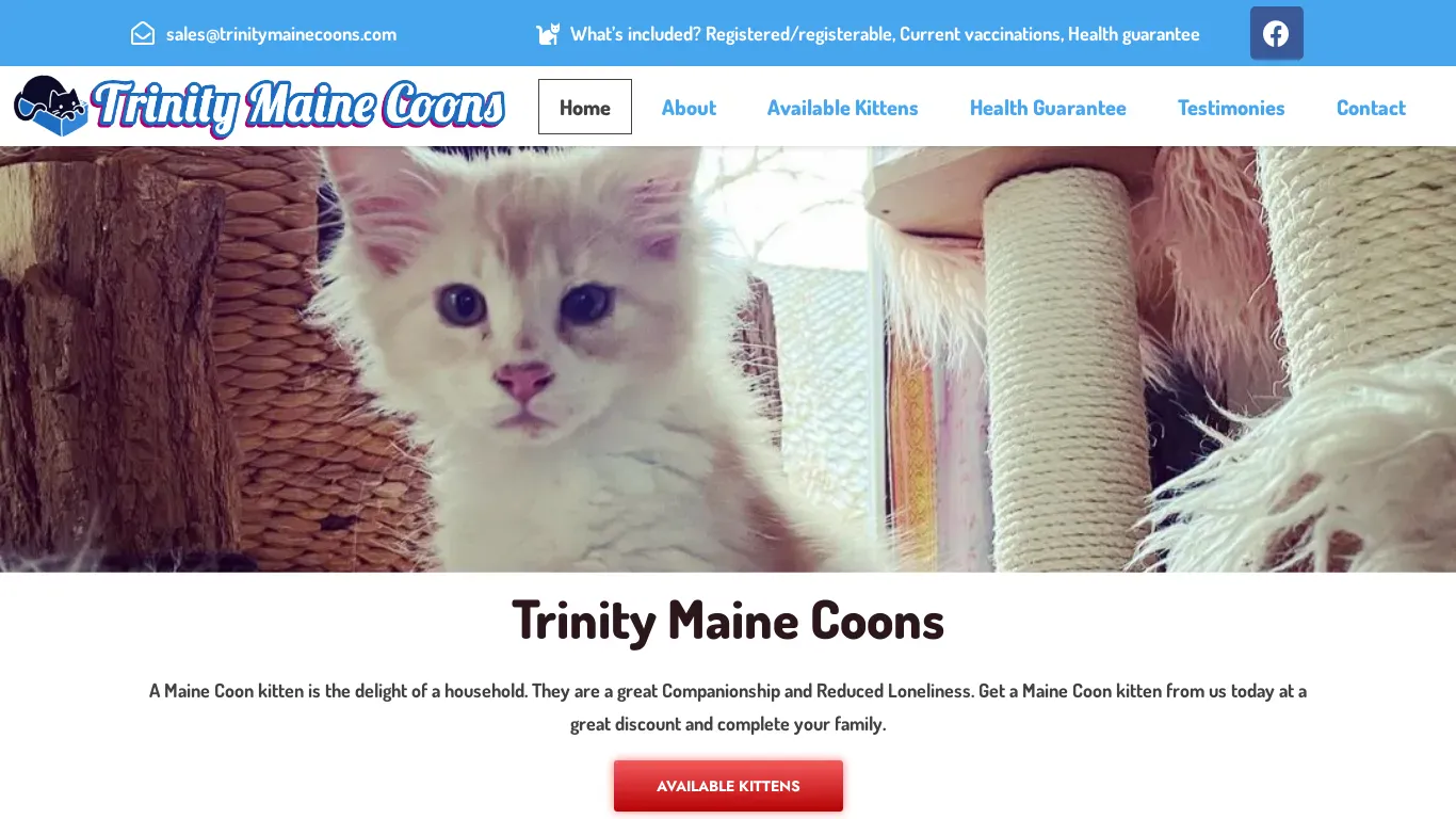 is trinitymainecoons.com legit? screenshot