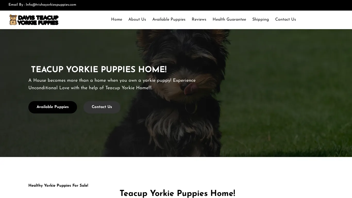 is Welcome | Registered Yorkie Puppies for sale | teacupyokiesadoptioncenter.wuaze.com legit? screenshot