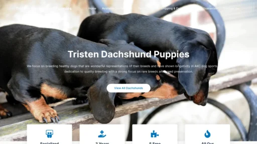 A screenshot of Tristendachshundpuppies.com