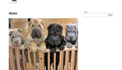 A screenshot of Genlanfamilystbernard.com