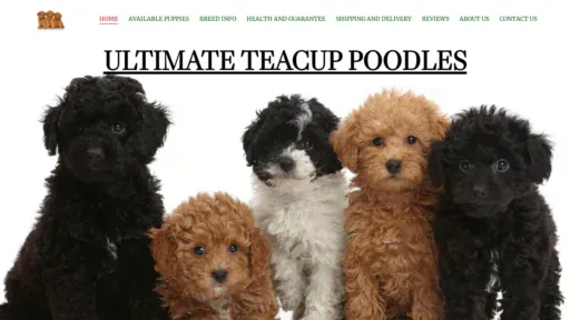 A screenshot of Ultimateteacuppoodle.com