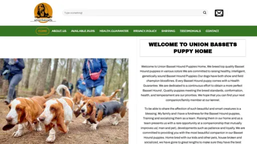 A screenshot of Unionbasset.com