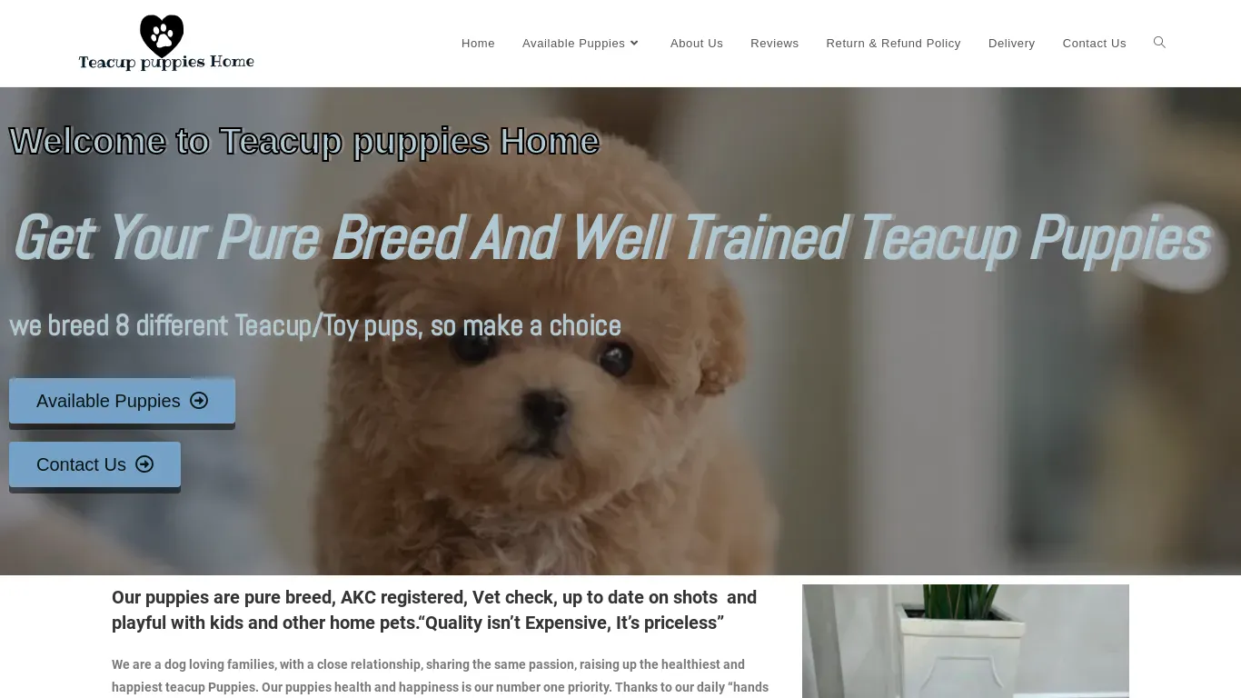 is uniquechowchowpuppies.com legit? screenshot