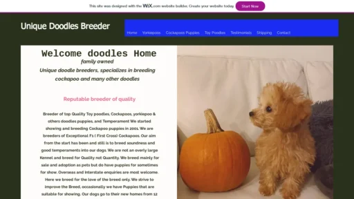 A screenshot of Uniquedoodlebreeder.com