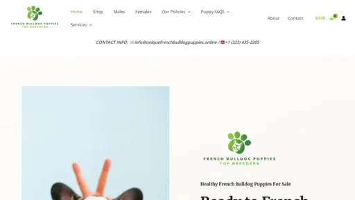 A screenshot of Uniquefrenchbulldogpuppies.online
