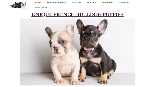 A screenshot of Uniquefrenchbullies.com