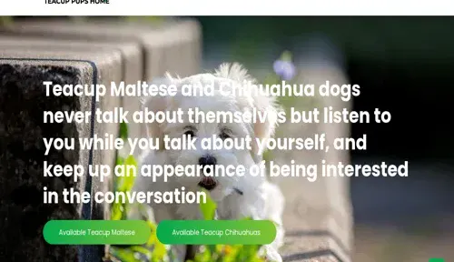 A screenshot of Genlanfamilystbernard.com