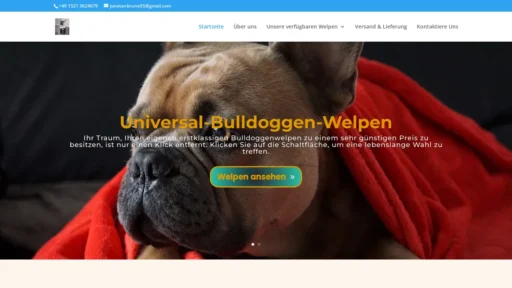 A screenshot of Universal-bulldoggen-welpen.com