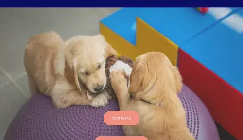 A screenshot of Genlanfamilystbernard.com