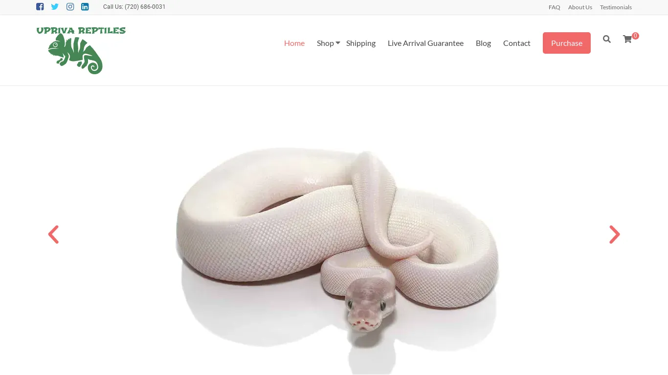upriva reptile s com