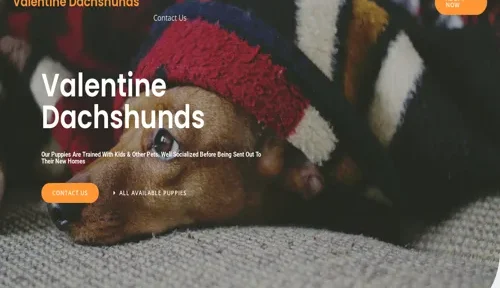 A screenshot of Genlanfamilystbernard.com