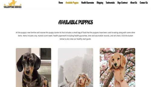 A screenshot of Genlanfamilystbernard.com