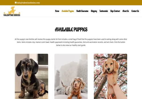 is valentinedoxies.com legit? screenshot
