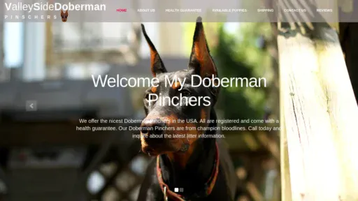 A screenshot of Valleysidedoberman.com