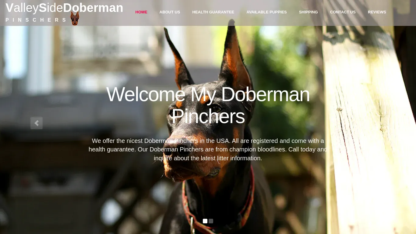 is valleysidedoberman.com legit? screenshot