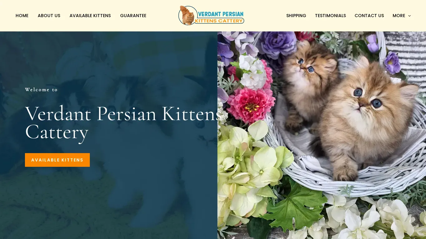 is verdantpersiankittens.com legit? screenshot