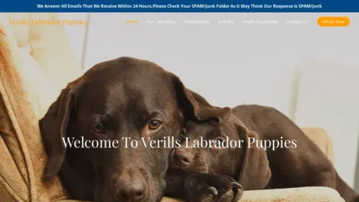 A screenshot of Verillslabradorpuppies.com