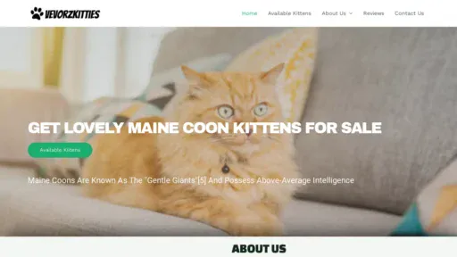 A screenshot of Vevorz.com