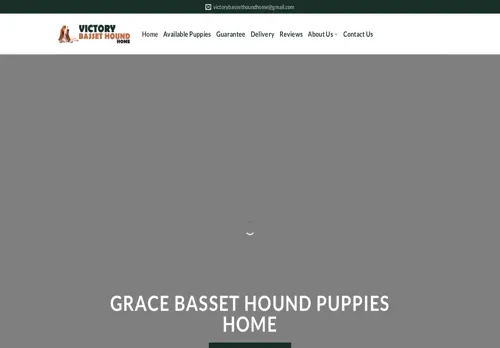 is victorybassethoundhome.com legit? screenshot