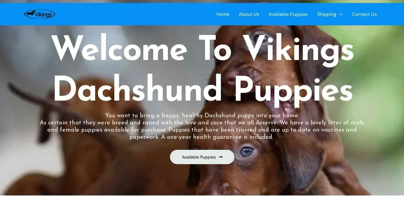 is vikingsdachshundpuppies.com legit? screenshot