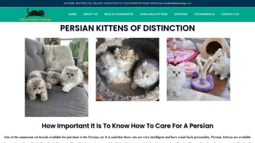 A screenshot of Villakittensvillage.com