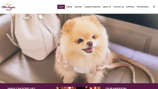 A screenshot of Villapuppiesvillage.com
