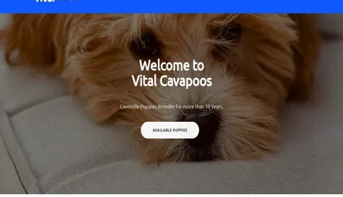 A screenshot of Genlanfamilystbernard.com