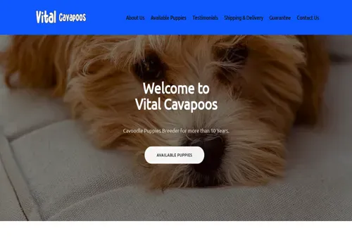A screenshot of Genlanfamilystbernard.com