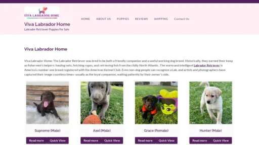 A screenshot of Vivalabradorhome.com
