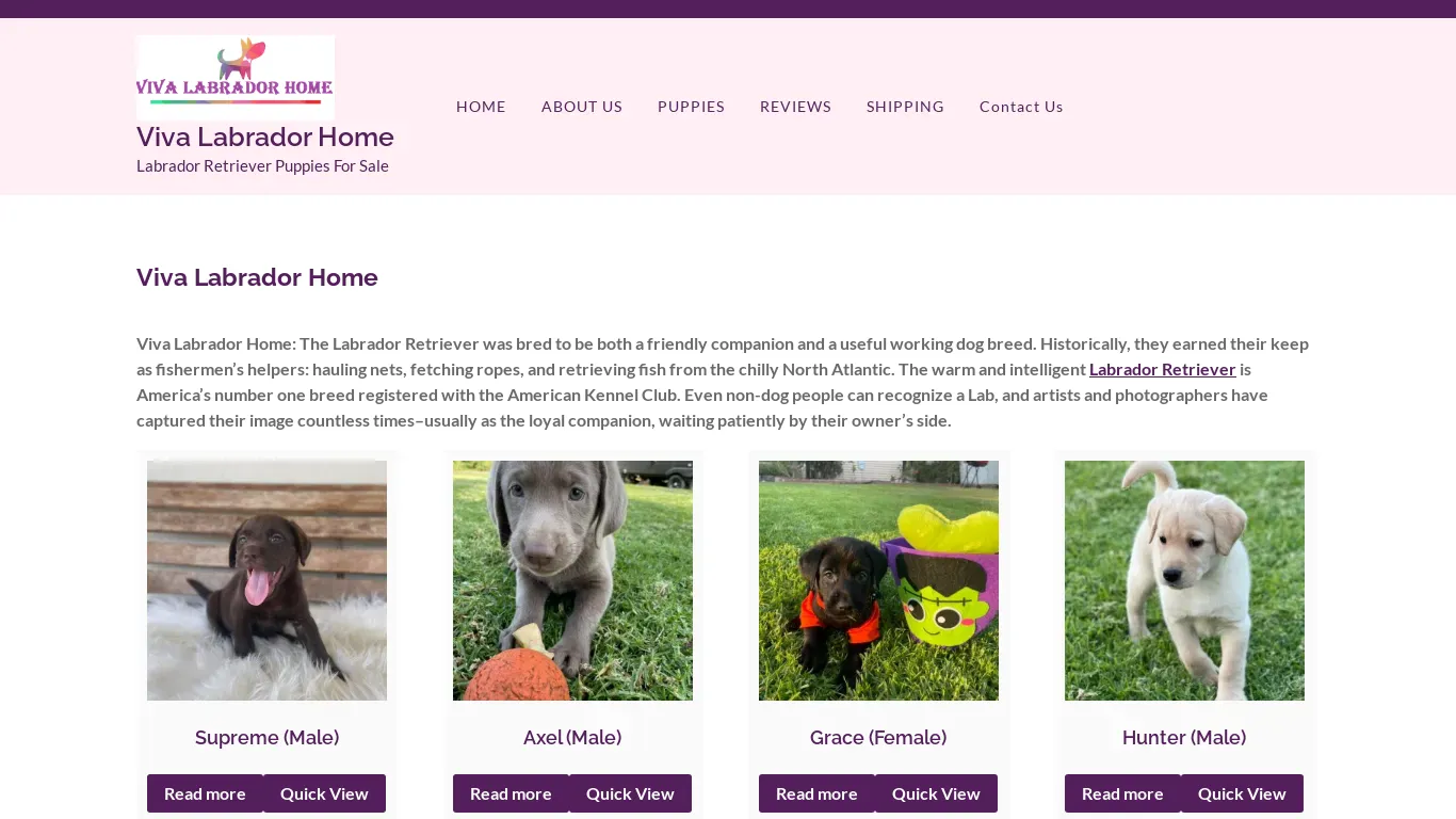 is vivalabradorhome.com legit? screenshot
