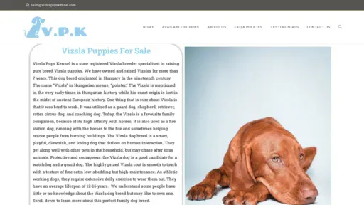 A screenshot of Vizslapupskennel.com