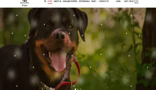 A screenshot of Genlanfamilystbernard.com