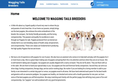 is waggingtailsbreeders.co.za legit? screenshot