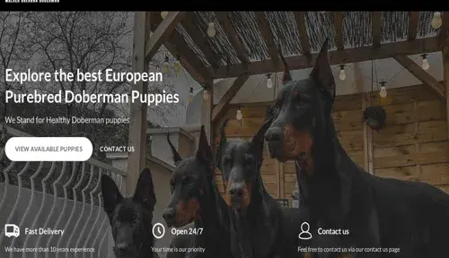 A screenshot of Genlanfamilystbernard.com