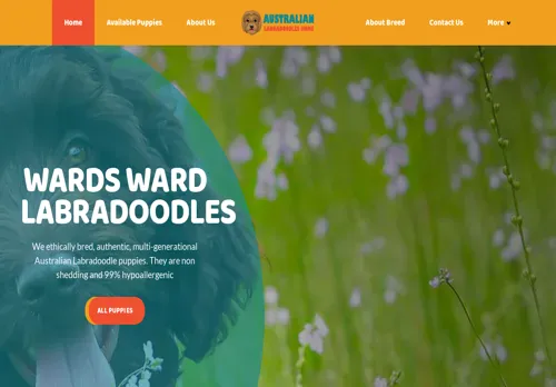is wardlabradoodles.com legit? screenshot