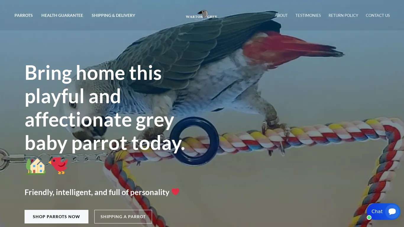 is wartorgreyparrotshop.us legit? screenshot