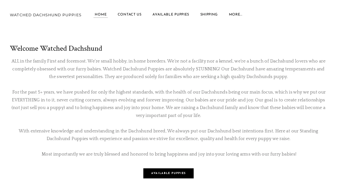 is watchdachshundpuppies.com legit? screenshot