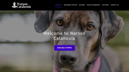 A screenshot of Watsoncatahoula.com