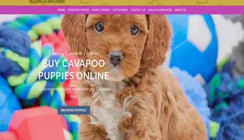 A screenshot of Genlanfamilystbernard.com