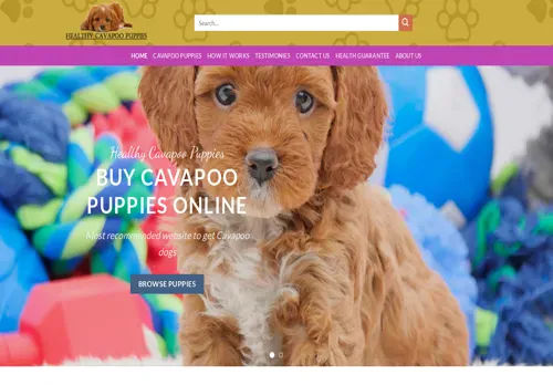 is waynebillcavapoos.com legit? screenshot
