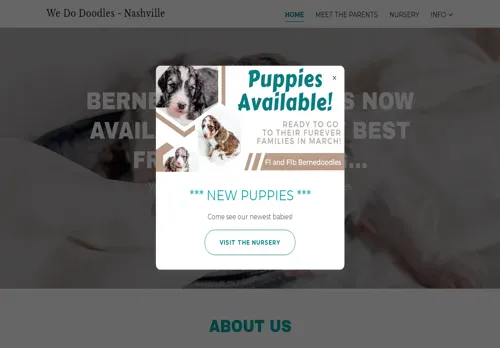 is wedodoodles.com legit? screenshot