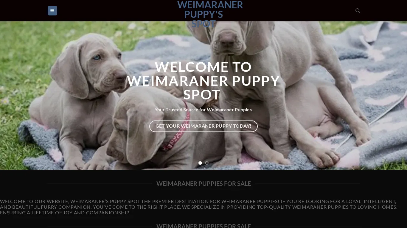 is Weimaraner Puppy's Spot – Weimaraner Puppies For Sale legit? screenshot