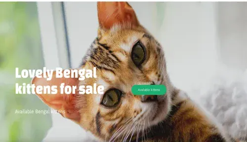 A screenshot of Genlanfamilystbernard.com