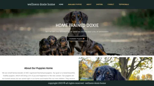 A screenshot of Wellnessdoxiehome.com