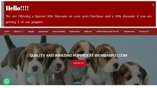 A screenshot of Wembaspot.com
