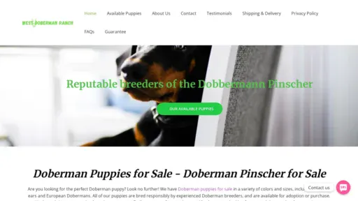 A screenshot of Westdoberman.com