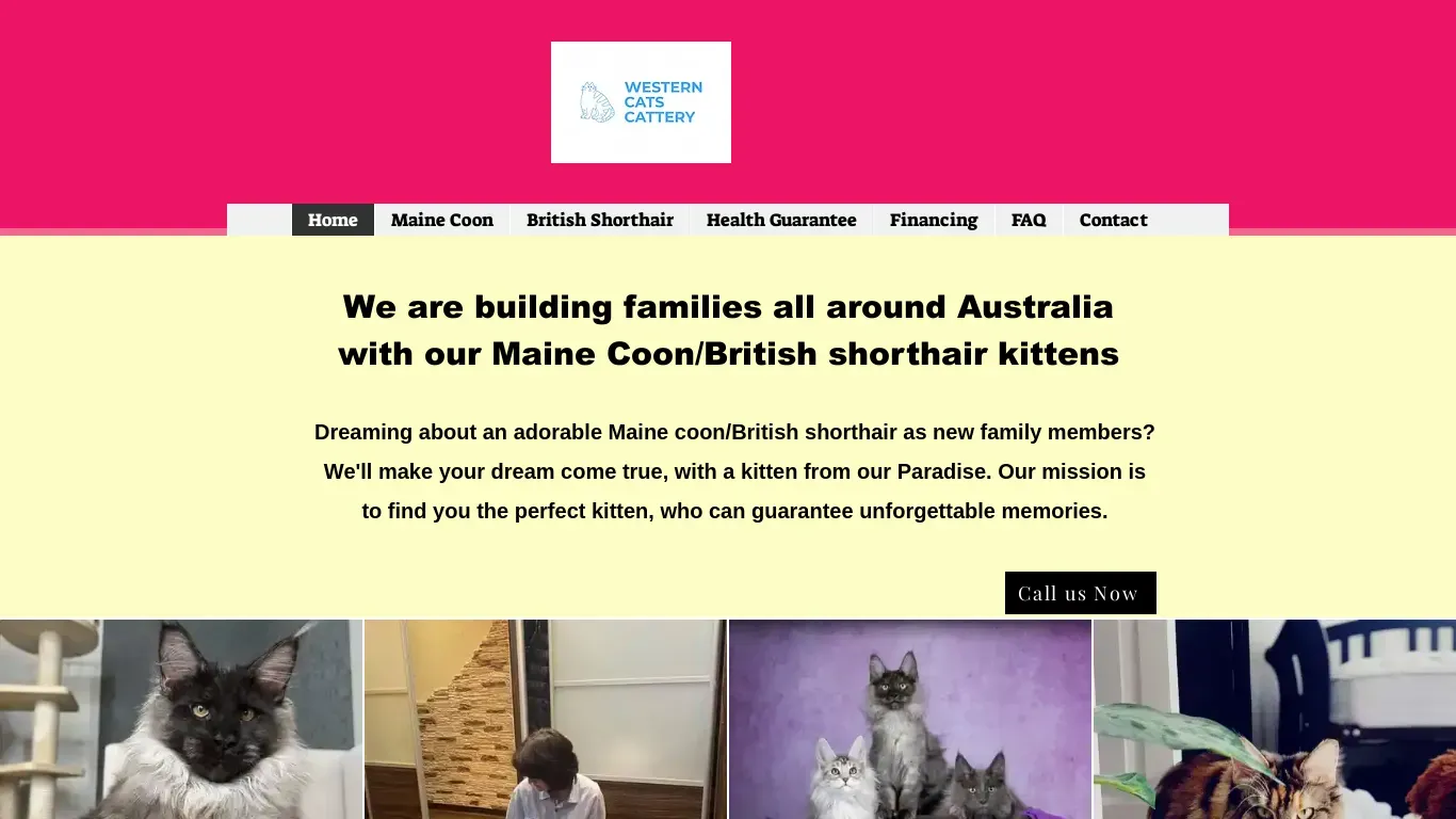 is westerncatscattery.com legit? screenshot