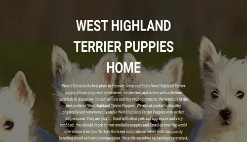 A screenshot of Genlanfamilystbernard.com