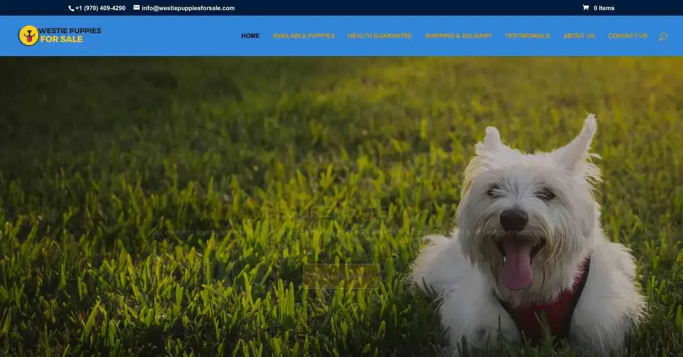 is westiepuppiesforsale.com legit? screenshot