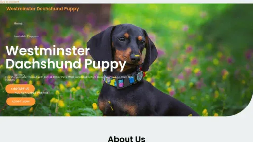 A screenshot of Westminsterdachshundpuppy.com